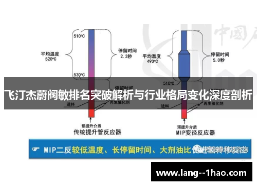 飞汀杰蔚阀敏排名突破解析与行业格局变化深度剖析