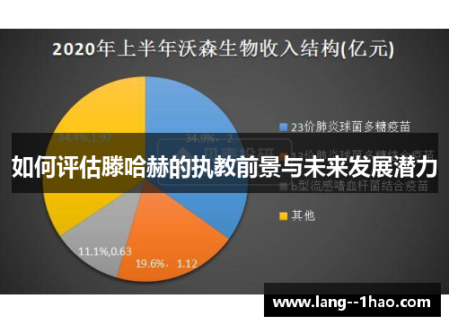如何评估滕哈赫的执教前景与未来发展潜力