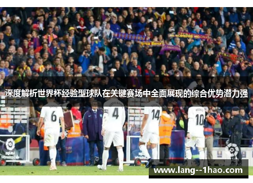 深度解析世界杯经验型球队在关键赛场中全面展现的综合优势潜力强